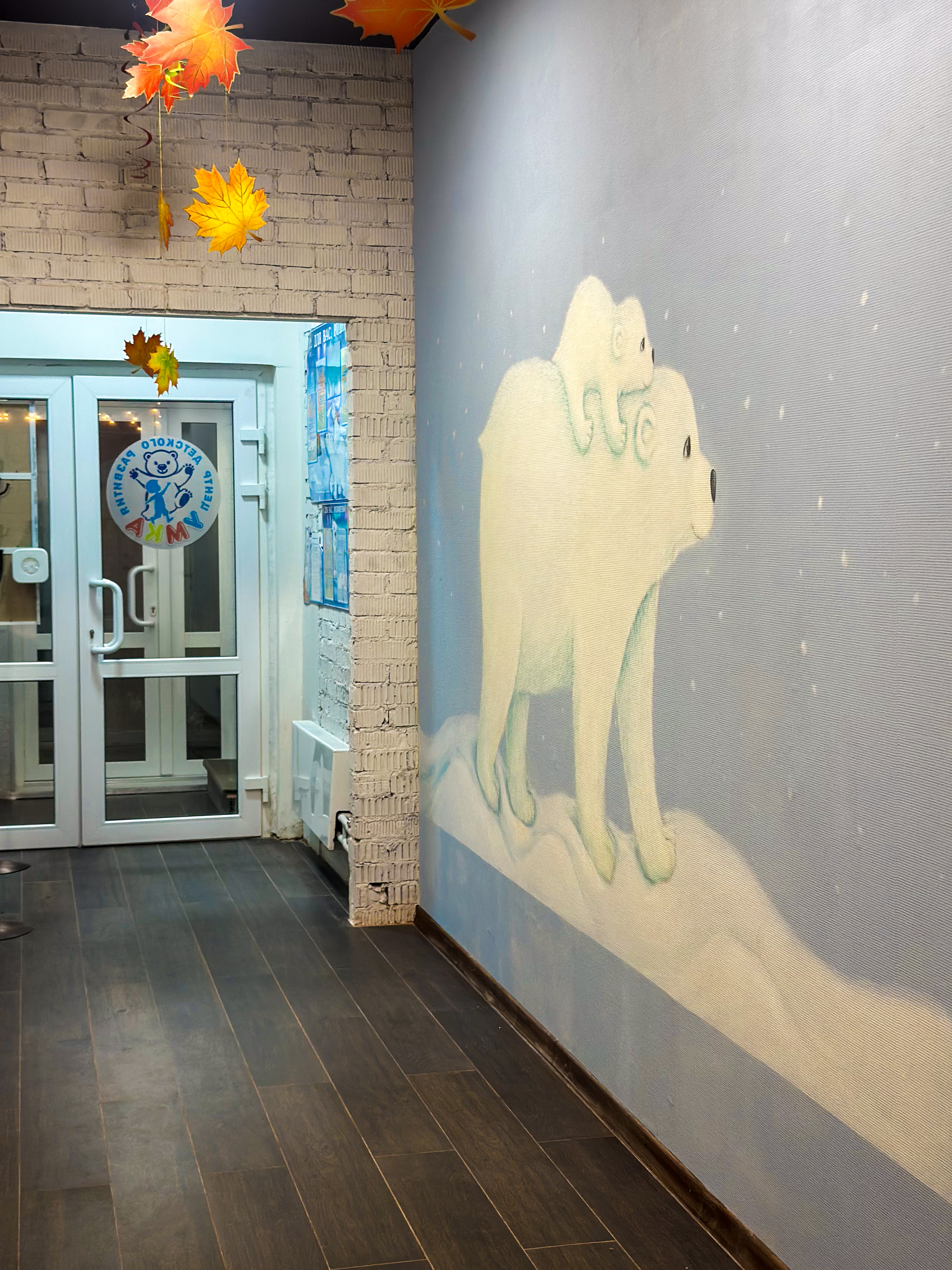 Видео центра